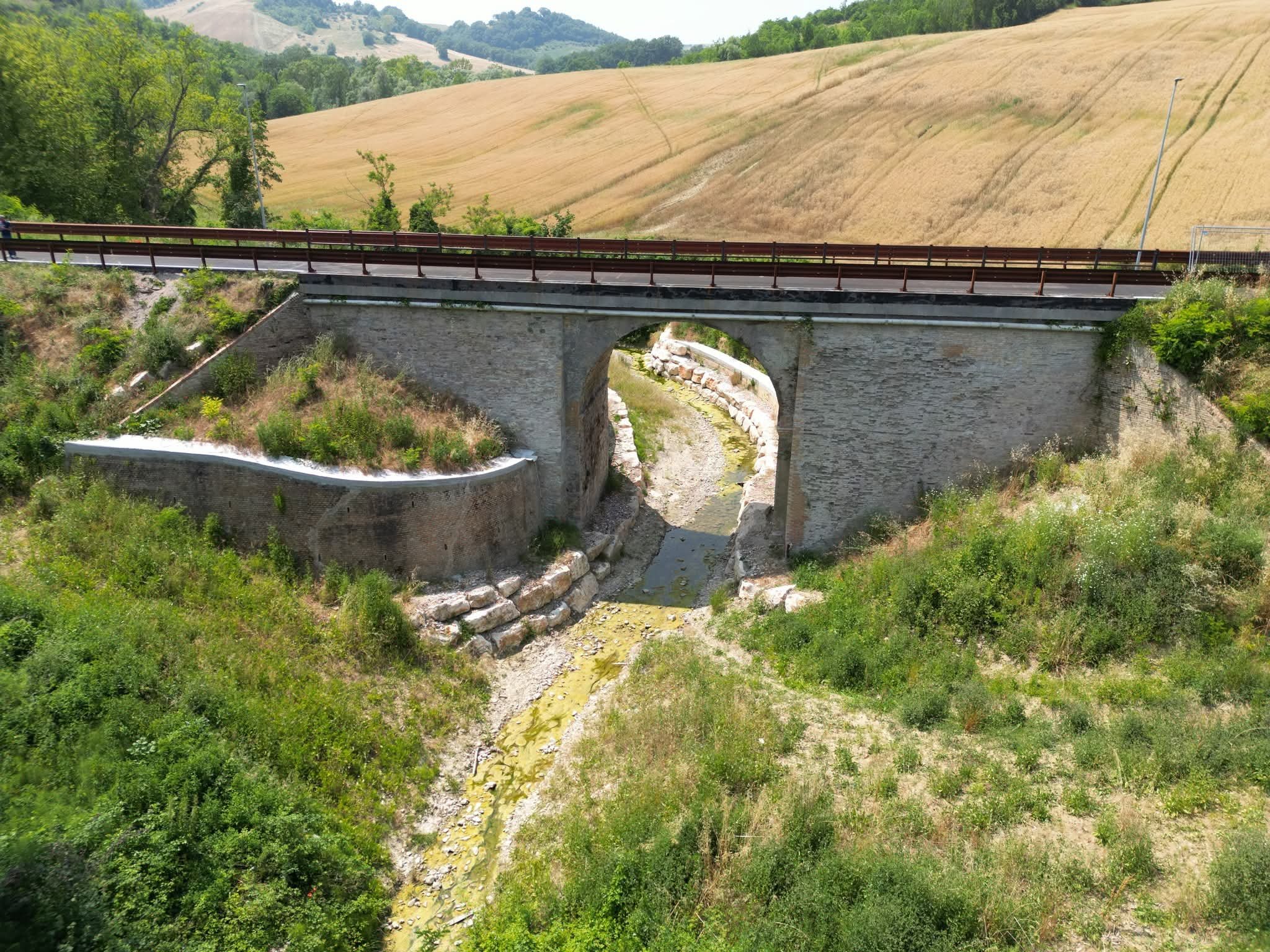 descrizione immagine
